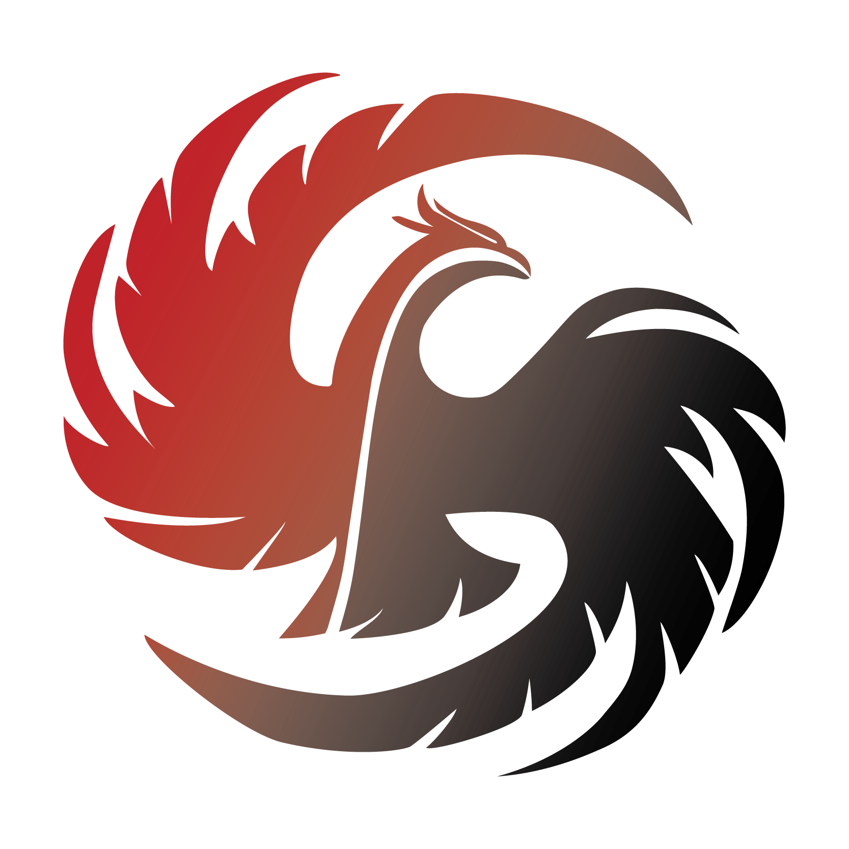 BMS ES App Icon